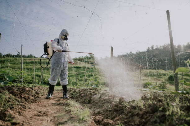 Best Best Pest Control Companies  in Pen Mar, PA