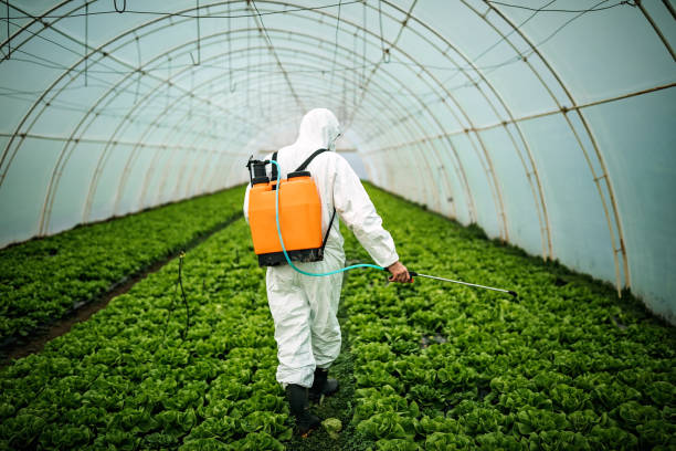 Best Pest Control Treatment  in Pen Mar, PA