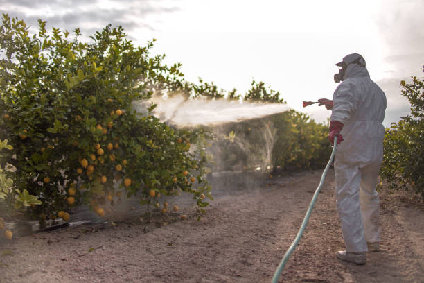 Best Wildlife Control Services  in Pen Mar, PA