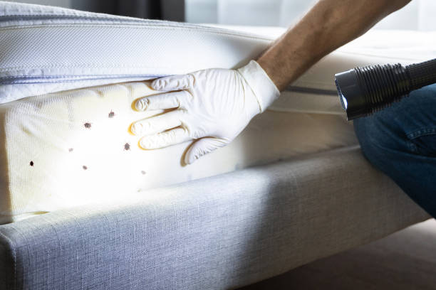 Pest Prevention Services in Pen Mar, PA