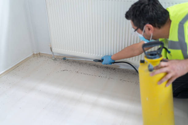 Best Flea Control Services  in Pen Mar, PA